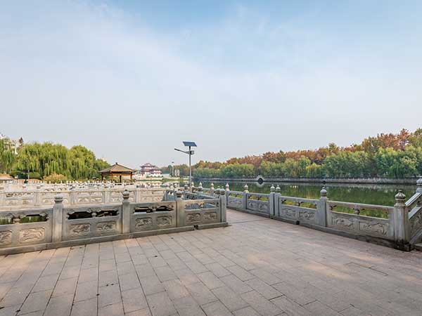 汶上礼佛大道绿化工程