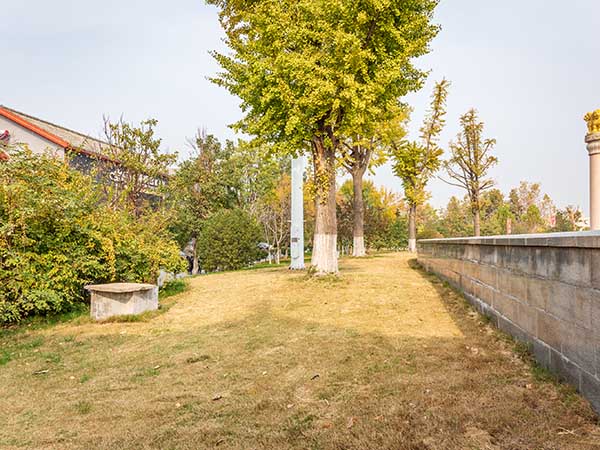 汶上礼佛大道绿化工程