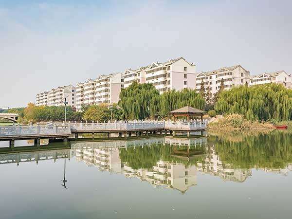 汶上礼佛大道绿化工程