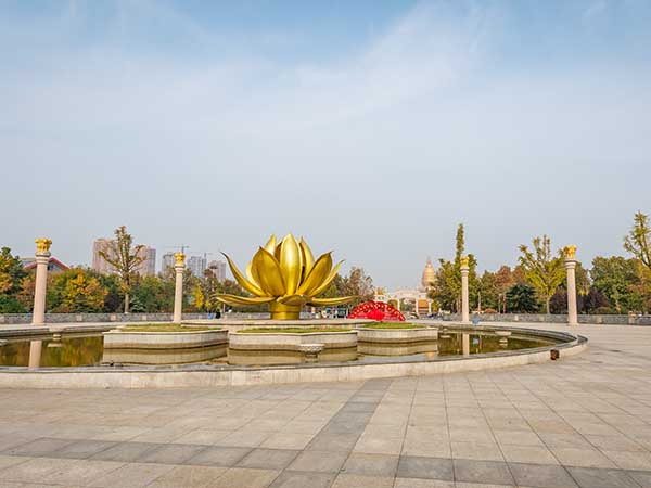 汶上礼佛大道绿化工程