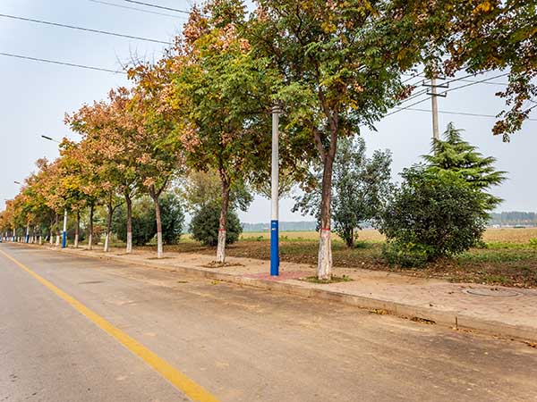 汶上化工园道路翻修绿化工程