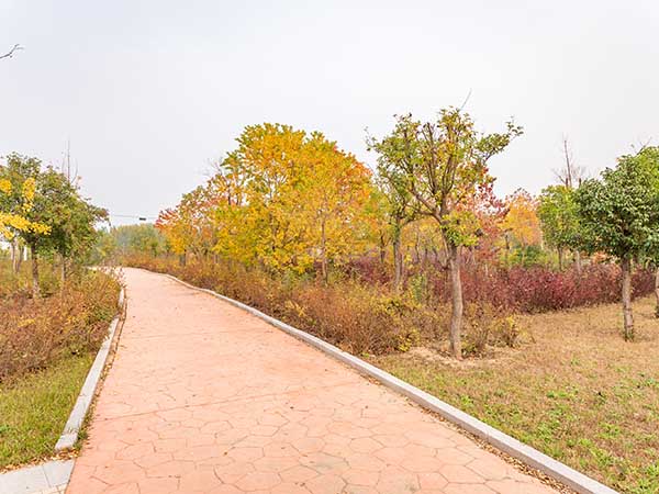 南泉河河道治理及绿化工程