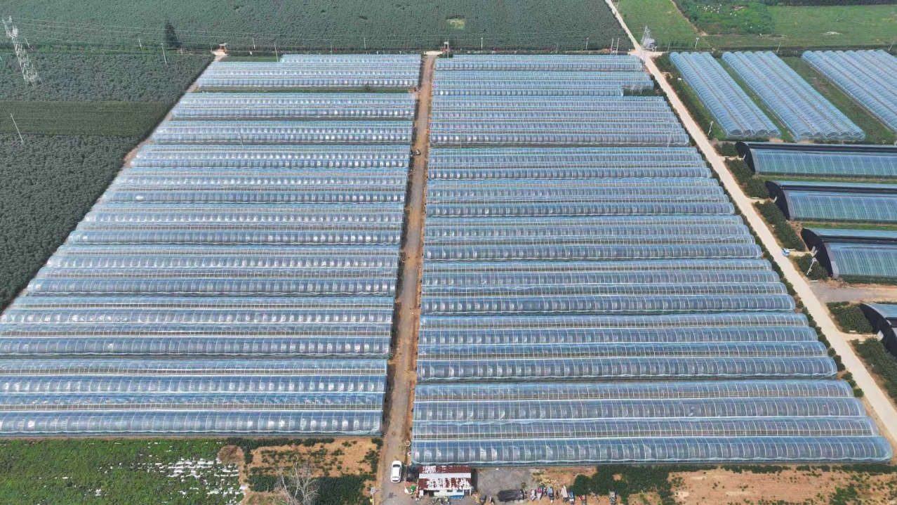 华翔农场周边航拍